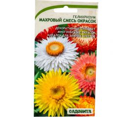 Семена Садовита Гелихризум Махровый смесь, 0.25 г 00208016 
