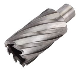 Сверло кольцевое (36х55 мм; HSS; Weldon 19) EUROBOOR HCL.360 