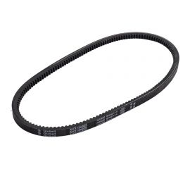 Зубчатый ремень Globelt AVX13x925 