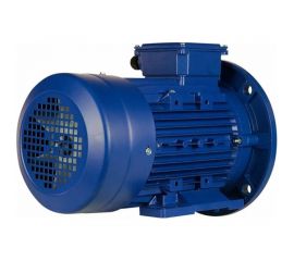 Электродвигатель 5АИ 100 L6 2.2/1000 IM 2081 01.01.213620 