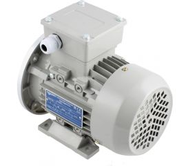 Трехфазный асинхронный электродвигатель INNORED 0.12 кВт, 1400 об/мин, 140х11 мм, на лапах, схема включения звезда/треугольник, 380/220 В, IP55 RM63M1-4 B35 