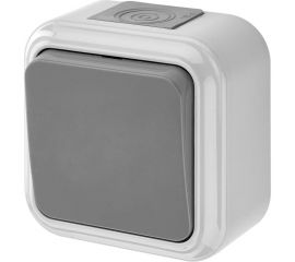 Выключатель Bylectrica 1-клавишная, открытая установка, 6А двухполюсный IP54, серия ПРАЛЕСКА АКВА, серый, А210-845 03 