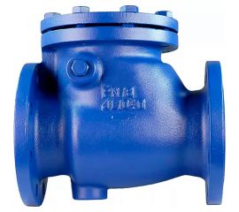 Поворотный обратный клапан DN.ru 302a ду50 ру16 фланцевый, чугунный D100-02362 