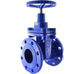 Чугунная задвижка Ci фланцевая 30ч6бр Ду50 Ру10 D040-02386 