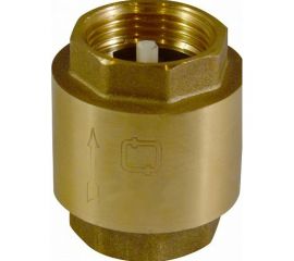 Обратный клапан СТМ 2" CBCV0002 