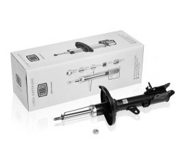 Амортизатор задний правый для автомобиля Hyundai Matrix TRIALLI AG 08421 