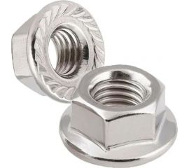 Шестигранная гайка с фланцем и насечками Insparion DIN 6923 нержавеющая сталь А2, M10, 10 шт. ЕВ-00000106 