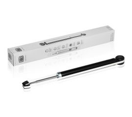 Амортизатор задний для автомобиля Лада Largus TRIALLI AG 01512 