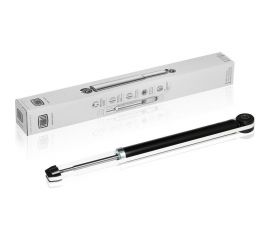 Амортизатор задний для автомобиля Renault Logan TRIALLI AG 09501 