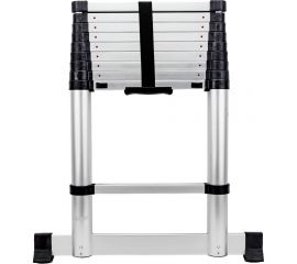 Лестница телескопическая 2.9м Gigant LT-01 1x10 