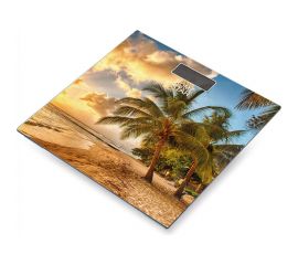 Напольные электронные весы Homestar STM-11 102276 