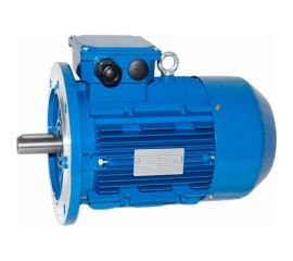 Электродвигатель 5АИ 100 L6 2.2/1000 IM 3081 01.01.213621 