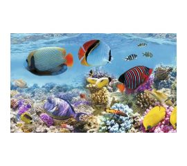 Панель для кухонного фартука ФАРТУКОФФ ФФ - 17 глянцевая, 1000x600x1.3 мм, фотопечать 35010170401 