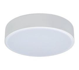 Накладной светильник LOFT IT Axel 1 10002/12 White 