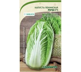 Семена Садовита Капуста пекинская Ричи F1 10 шт. Sakata 00216414 