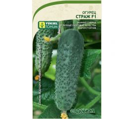 Семена Садовита Огурец Страж F1 5 шт. Yuksel Tohum 00216537 