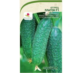 Семена Садовита Огурец Платон F1 5 шт. Greenomica 00216533 