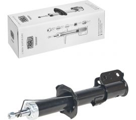 Амортизатор передний для автомобиля Chery Kimo /QQ6 /Indis TRIALLI AG 30051 