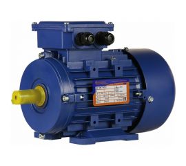 Электродвигатель 5АИ 71 А2 FT85 0.75/3000 IM 2181 01.01.221566 