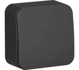 1-клавишный выключатель Schneider Electric Blanca наружный, Антрацит 10А, 250B SE BLNVA101016 