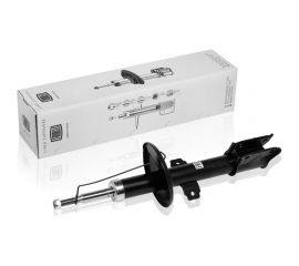 Амортизатор передний для автомобиля Renault Duster TRIALLI AG 09053 