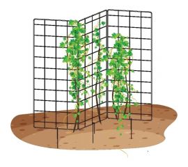 Шпалера 3D для растений НАЙДИ S3D 