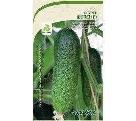 Семена Садовита Огурец Шопен F1 5 шт. Rijk Zwaan 00216541 