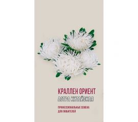 Семена Агрони Астра китайская КРАЛЛЕН ОРИЕНТ 1908 