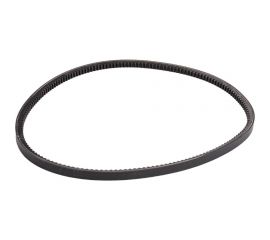 Зубчатый ремень Globelt AVX13x1075 