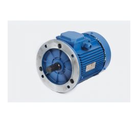 Электродвигатель МЭЗ У2-220/380-50IM3081- К31Е-ААА IE1 Могилев АИР100L8 1,5*750 3081 