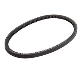 Зубчатый ремень Globelt AVX13x710 