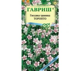 Семена ГАВРИШ Гвоздика травянка Торонто 0.05 г 1071857822 