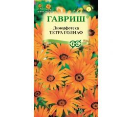 Семена ГАВРИШ Диморфотека Тетра Голиаф 0.1 г 1071857670 