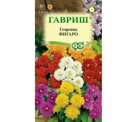 Семена ГАВРИШ Георгина Фигаро 7 шт., негранулированные 1071857500 