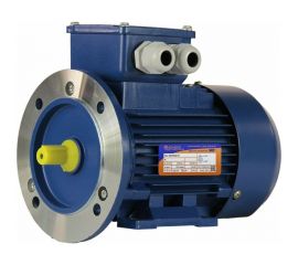 Электродвигатель 5АИ 56 В4 0.18/1500 IM 2081 01.01.213518 
