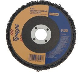 Круг фиберглассовый по металлу для шлифовки и полировки 100x16 мм ТУНДРА 7584503 