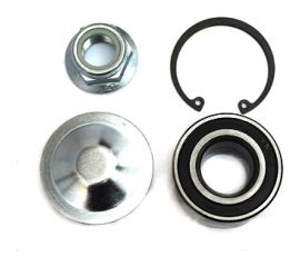 Подшипник задней ступицы для а/м Riginal Renault Logan/Megane/Sandero/Largus/Nissan Micra/Note (к-т) Riginal RG713630300 