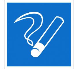 Наклейка-информационный знак REXANT Место курения, 100х100мм 56-0032 