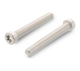 Винт ЦКИ ISO14579 М6x14 A2 TX30 25 шт. 48781 