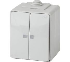 Двойной выключатель ЭРА 11160503 с подсветкой IP65, 10АХ250В, ОУ, Б0035977 