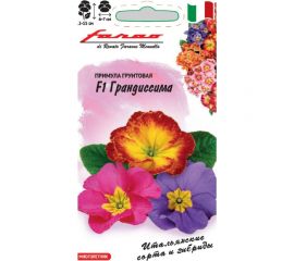 Семена ГАВРИШ Примула Грандиссима F1 обыкновенная грунтовая смесь 5 шт 1999947812 
