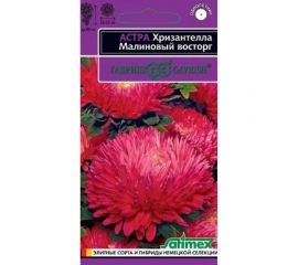 Семена ГАВРИШ Астра Хризантелла Малиновый восторг (хризантемовидная) 0.05 г 1070008067 
