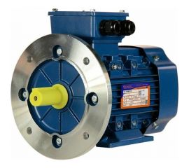 Электродвигатель 5АИ 80 А4 1.1/1500 IM 1081 01.01.213540 