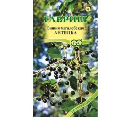 Семена ГАВРИШ Вишня Антипка магалебка 1 г 1999942749 