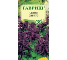 Сальвия ГАВРИШ Сириус, карликовая 4 шт 1071858190 