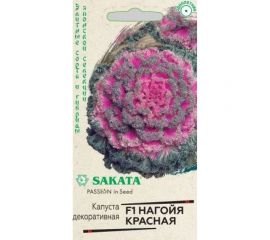 Капуста ГАВРИШ декоративная, Нагойя красная 6 шт, Саката серия Эксклюзив 1071858736 