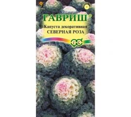 Капуста декоративная ГАВРИШ Северная роза 0.05 г воронежская розовая 1071858732 