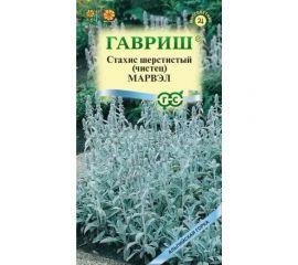 Семена ГАВРИШ Чистец византийский Стахис Марвэл 0.05 г серия Альпийская горка 003771 