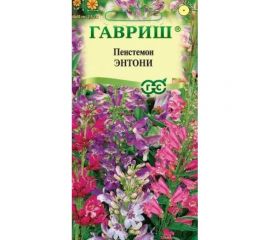 Семена ГАВРИШ Пенстемон гибридный Энтони, смесь 0,1 г 19102070 