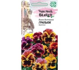 Виола ГАВРИШ Грильяж, Виттрока (Анютины глазки) 0,05 г серия Чудесный балкон 1071857520 